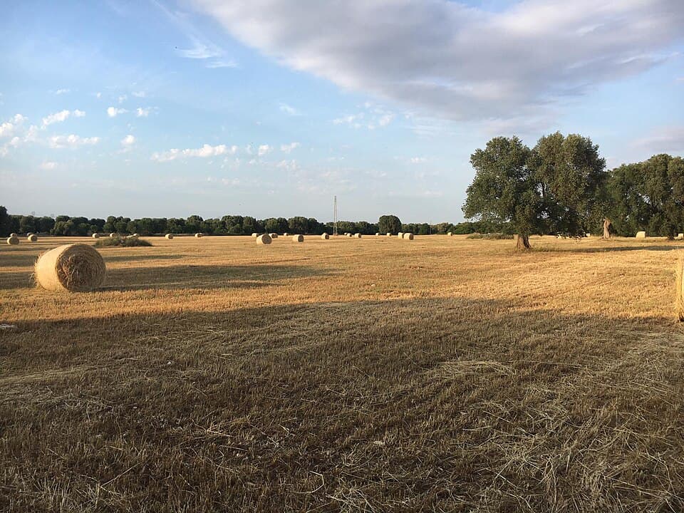 Francavilla Fontana 4