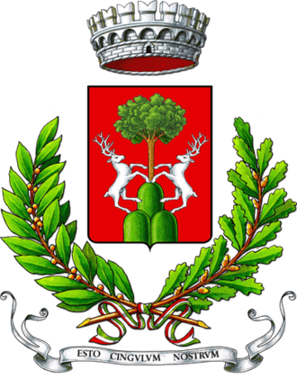 Cingoli 1
